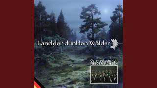 Land der dunklen Wälder [upl. by Zilla]