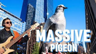 It’s Finally Here  Giant Pigeon Statue “Dinosaur” featuring Hari Nandu Fodera Emperor 6 Bass [upl. by Lokcin460]