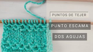 Tejer punto escama  A dos agujas 🧶 Tejer con Lucila [upl. by Concha790]