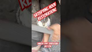 Farrier ASMR Super satisfying Hoof Trim farrier horse satisfying asmr hooftrimming [upl. by Valorie523]