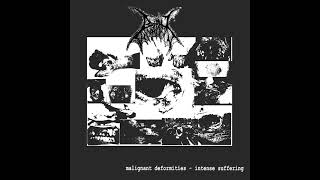 Brutal Contamination  Malignant Deformities  Intense Suffering Goregrind [upl. by Cacka]