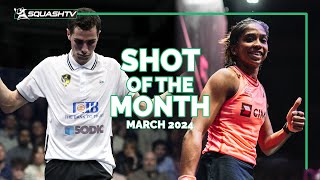 Squash Shots Of The Month  March 2024 💥 [upl. by Elvia]