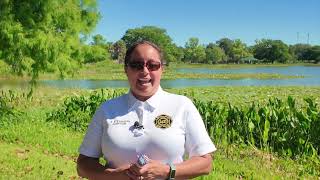 Fireworks Safety with Leesburg Fire Department [upl. by Issiah65]