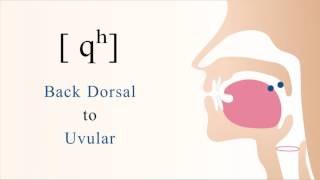 qʰ  unvoiced aspirated back dorsal uvular stop [upl. by Cecelia]