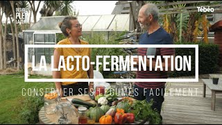 Comment réaliser une lactofermentation facilement [upl. by Elodie949]