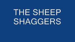 sheep shaggers [upl. by Aennil]