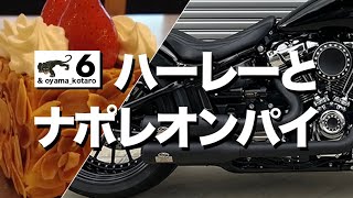 6【ハーレーと東京スイーツを】骨董通りのナポレオンパイを食べてきた 4K [upl. by Eberto897]