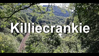 Killiecrankie Gorge Perthshire Scotland 4K [upl. by Steck7]