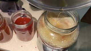 Flavoring Kombucha Tea [upl. by Keyte]