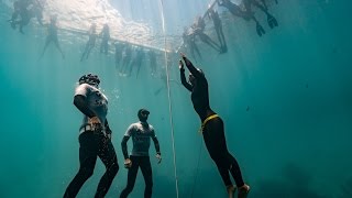 The Dive the first World Record for Japan by Sayuri Kinoshita [upl. by Elise]