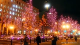 御堂筋イルミネーション 2013 Midosuji Street Illumination Osaka Japan [upl. by Shelton550]