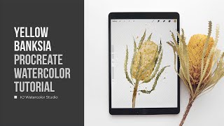 Banksia Flower Illustration • Procreate Watercolor Tutorial • Ipad Watercolor Painting [upl. by Enivid]