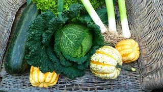 Allotment Diary  Final Veg Plot amp Polytunnel Tour of 2014 [upl. by Lillith]