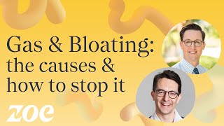 Gas and bloating the causes and how to stop it  Dr Will Bulsiewicz [upl. by Einwat78]