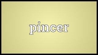 Pincer Meaning [upl. by Belicia407]