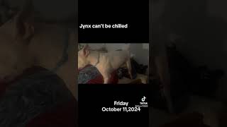 tiktokvideo  jynx can’t be chilled [upl. by Anned]