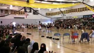 Wilcox High School 2013 Goodbye Rally [upl. by Aiehtela]