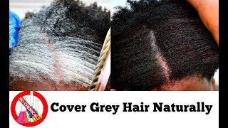 How To Turn White Or Grey Hair Into Black Naturally With No Chemicals Natural Hair Dye Step By Step [upl. by Leon]