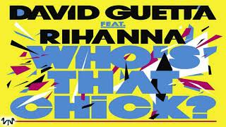 David Guetta feat Rihanna  Whos That Chick 2010  1 HOUR LOOP [upl. by Nielson]