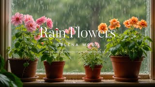 The sound of flowers that always shine on me🏵️🌻 a playlist that opens the door to the cold winter☃️ [upl. by Saxe]