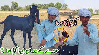 Live Soda Dosto ki Farmaish Par Bakri ka  Baba Mehnga Gujjar ka Party sy Soda [upl. by Ebbie]