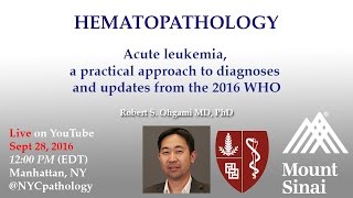 Hematopathology Acute leukemia a practical approach to diagnoses and updates from the 2016 WHO [upl. by Jansson]