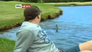 Golfers Brave SharkInfested Course [upl. by Tenej]