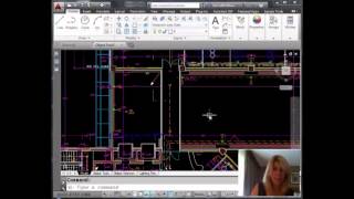 Match AutoCAD Objects to the Correct Layer Lynn AllenCadalyst Magazine [upl. by Ylaek217]