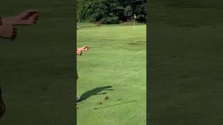 Almost holed it 😭part1 golf ytshorts [upl. by Emie382]