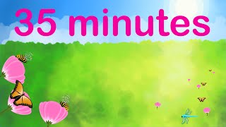 35 minute Spring Timer with Calm Alarm [upl. by Bobbette]