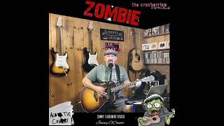 Zombie The Cranberries Cover [upl. by Ellerred424]