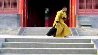 shifu kanishka training jin gang quan vajra fist [upl. by Eerized30]