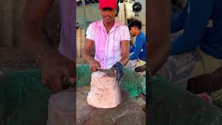 PANNI KOLA FISH 🐟 KASIMEDU FISH MARKET selvamfastcutting [upl. by Kira]