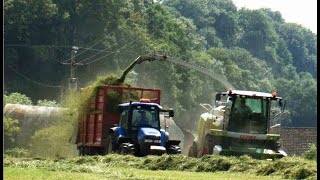 Silaging over the Valley  with Claas and Various Tractors [upl. by Platus]