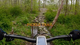 Wawayanda State Park Pickle Trail May 14 2022 [upl. by Leitman]