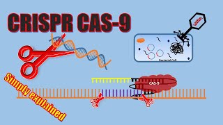 CRISPRCAS9  General Mechanism [upl. by Dnaltiac]