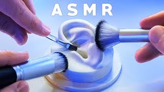 ASMR XXL Brushing amp Brushes ONLY Compilation NO TALKING Tingle Study Sleep Relax [upl. by Nomar467]