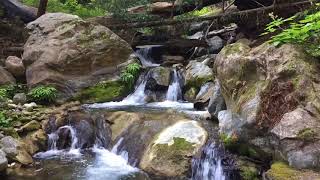 Video of Limekiln State Park CA from Jenn R [upl. by Husch]