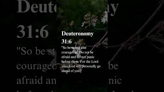 Deuteronomy 316 [upl. by Siuluj]