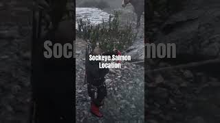 Red Dead Redemption 2 Sockeye Salmon Location arrakisstudio gaming rdr2 rdrgameplay xbox [upl. by Ferrell130]