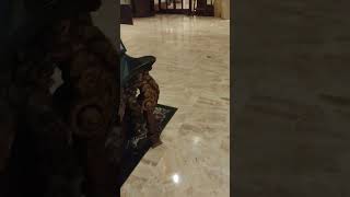 HOTELEROSviralvideo5starhotelytshortsluxurydelhi [upl. by Esinrahc]