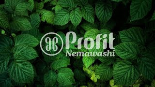 Novidades Profit Nemawashi [upl. by Bellis]