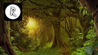 8 Hrs Best Celtic Music Beautiful Music Relaxing Music Flute Music Meditation Music [upl. by Brant]