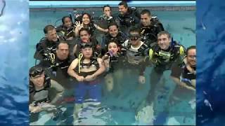 BUCEO INCLUYENTE [upl. by Draude]