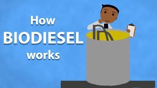 How Biodiesel Works [upl. by Ydisac]