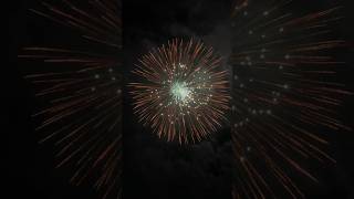 8 Firework fireworks pyromagic pyrotecnic skyshot [upl. by Soneson120]