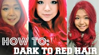 VEGAN HAIR DYE amp AFFORDABLE COLOUR MAINTENANCE ♥ Cheap Lazy Vegan [upl. by Gettings248]