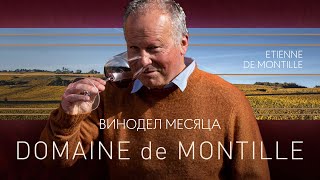 Domaine de Montille [upl. by Deane]