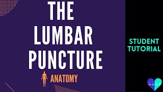 The Lumbar Puncture  Anatomy Tutorial [upl. by Odraboel]