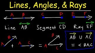 Lines Rays Line Segments Points Angles Union amp Intersection  Geometry Basic Introduction [upl. by Hoang]